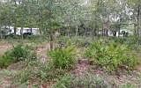 1st image of Winterberry Ave