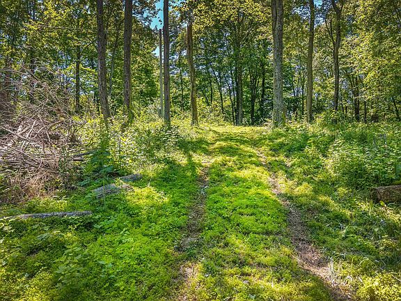 2nd image of 19703 Township Road 76b