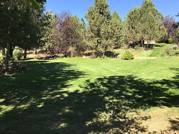 Lower lawn