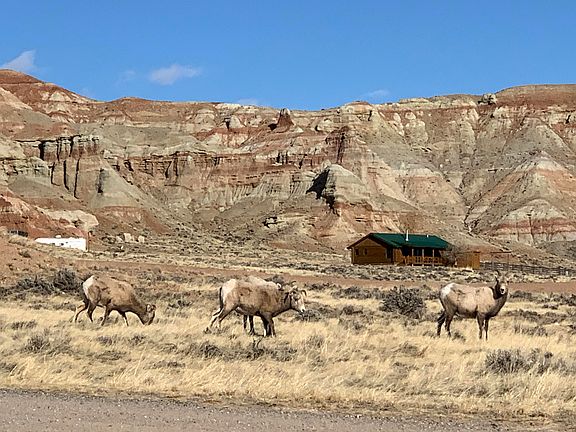 4th image of 27 Painted Hills Dr
