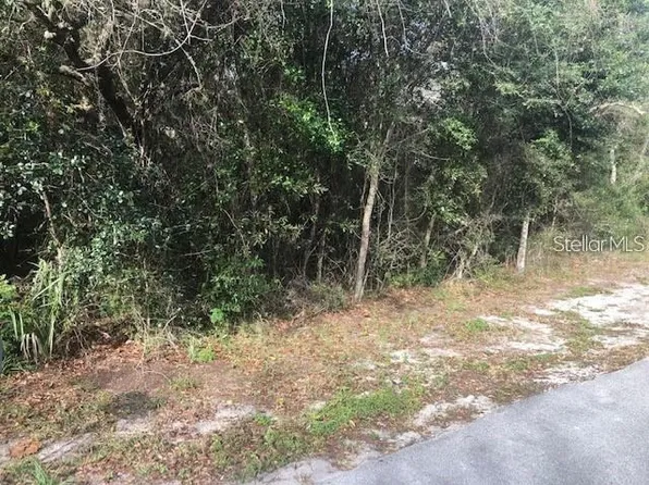 189 Candlewick Ave, Spring Hill, FL 34608