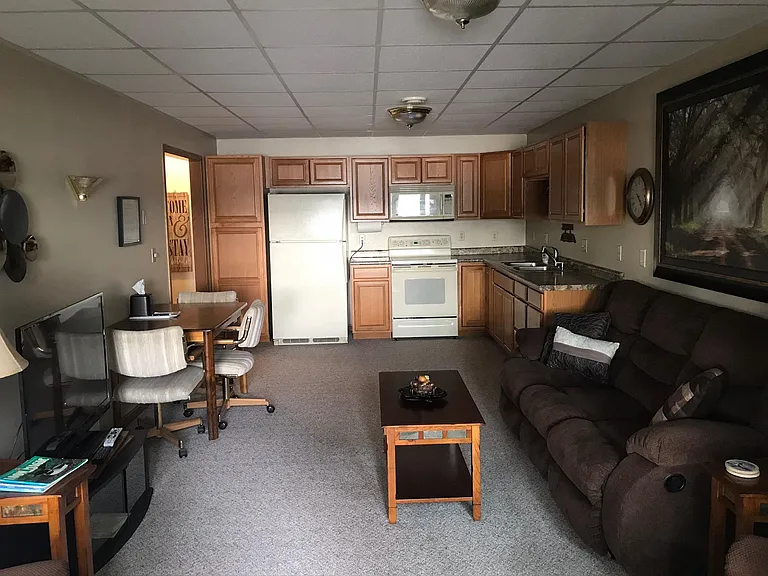 Lower level living room with small kitchen