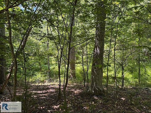 5th image of 0 Triangle School Rd