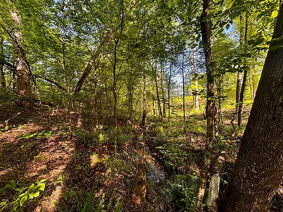 3rd image of Cotton Hill Rd