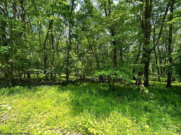 94 E Alpine Dr, Terra Alta, WV 26764