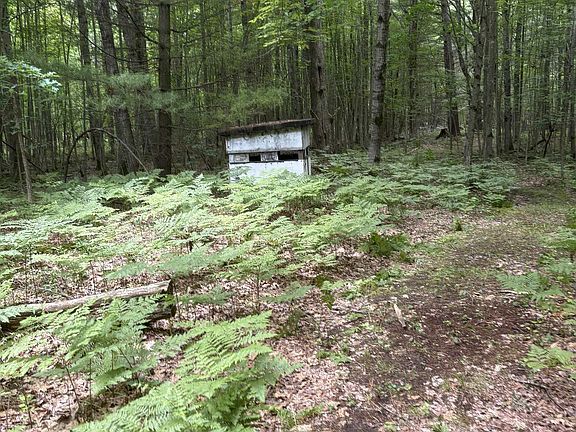 2nd image of 3680 Wieman Rd