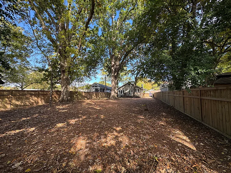 Backyard