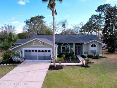 14375 Nugent Cir, Spring Hill, FL, 34609