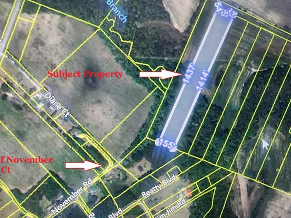 0 Antioch Rd, Santee, SC 29142