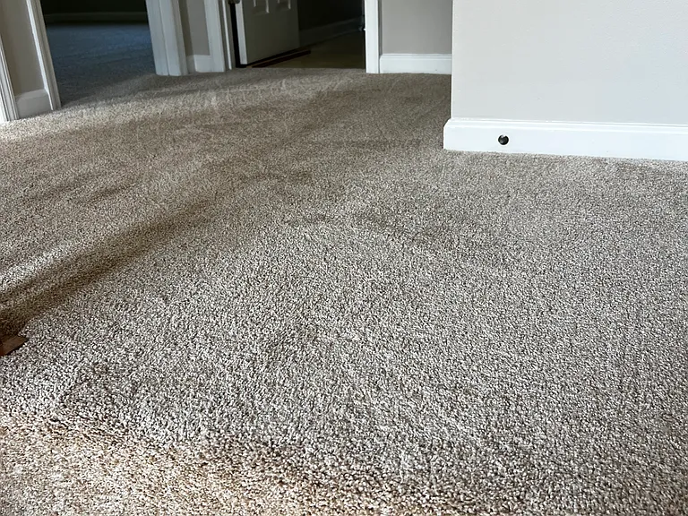 8603 Cislo Ct — Photo 15
