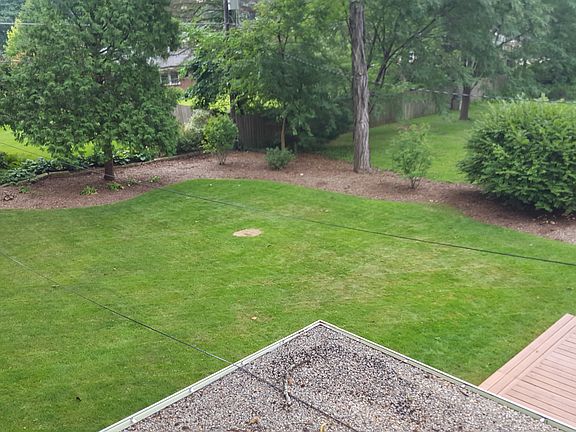 back yard