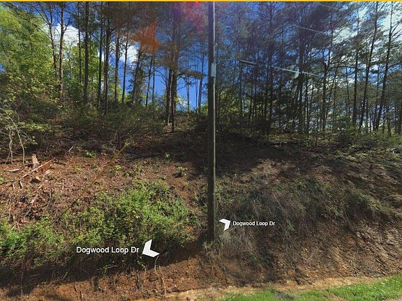 3rd image of 2756 Dogwood Loop Dr
