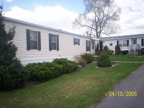Front View / Shrubbery