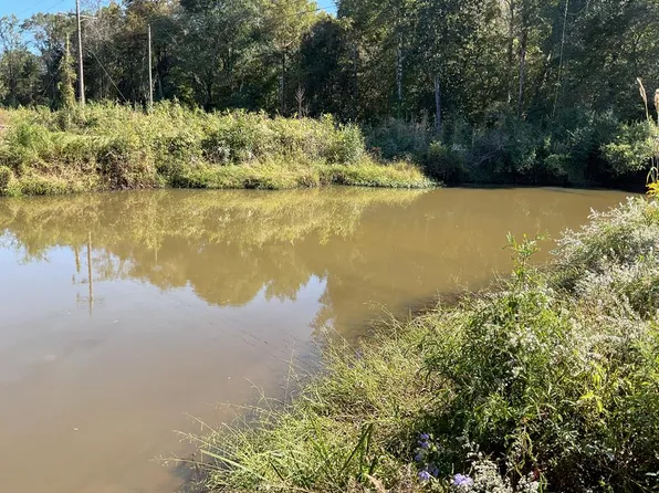 3200 State Highway 10, Brundidge, AL 36010