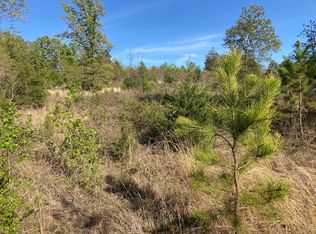 30 Red Ln, Calico Rock, AR 72519