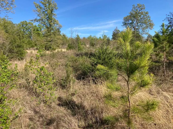 30 Red Ln, Calico Rock, AR 72519