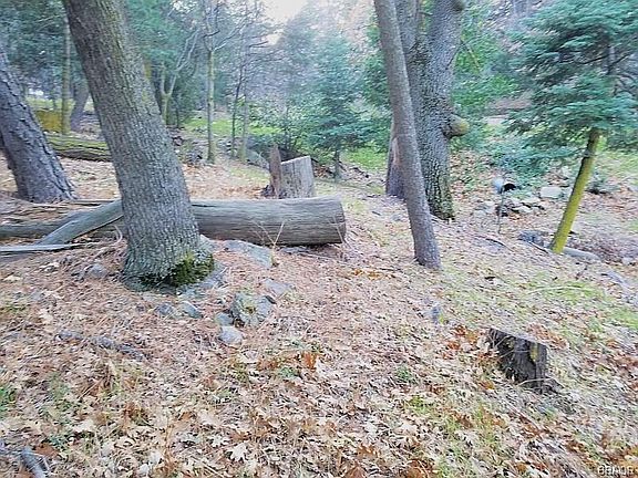 2nd image of 0 Fir St