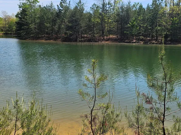 100 Bluff View Dr, Dunlap, TN 37327