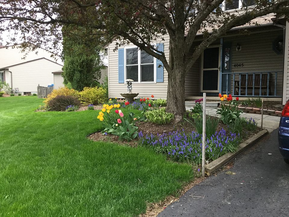 1st image of 4045 Plum Yew Cir