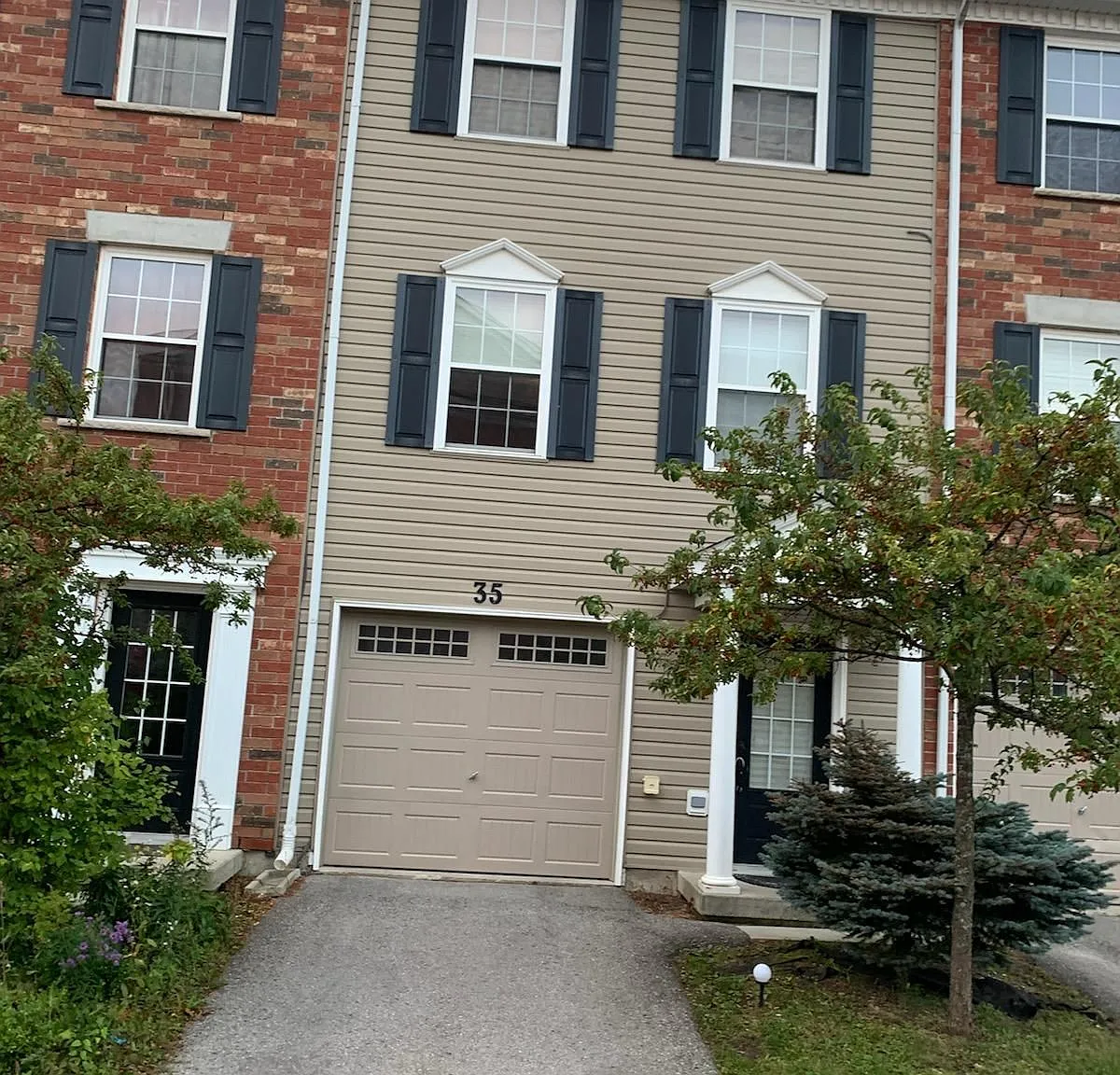 3 bed, $2,350 — Photo 2