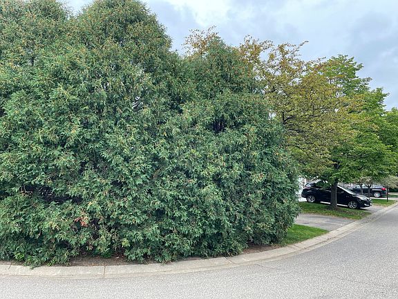 3rd image of 8369 Corcoran Cir #39