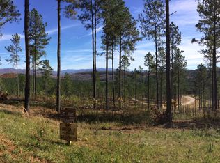 LOT 127 Thirteen Hundred, Blairsville, GA 30512