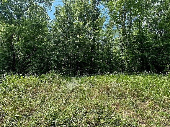 3rd image of 37 Butler Rd