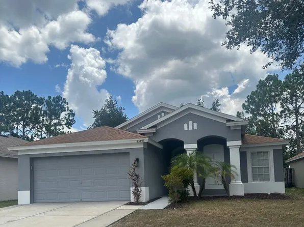 10421 Paragon Pl, Riverview, FL 33578