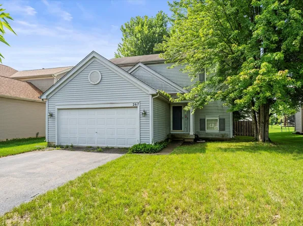 267 Gregory M Sears Dr, Gilberts, IL 60136