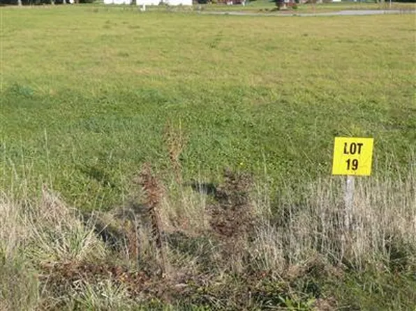 0 Emily Dr Lot 19, Otego, NY 13825