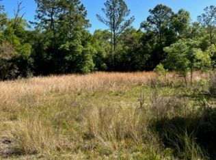 7272 Sonia Ave, Webster, FL 33597