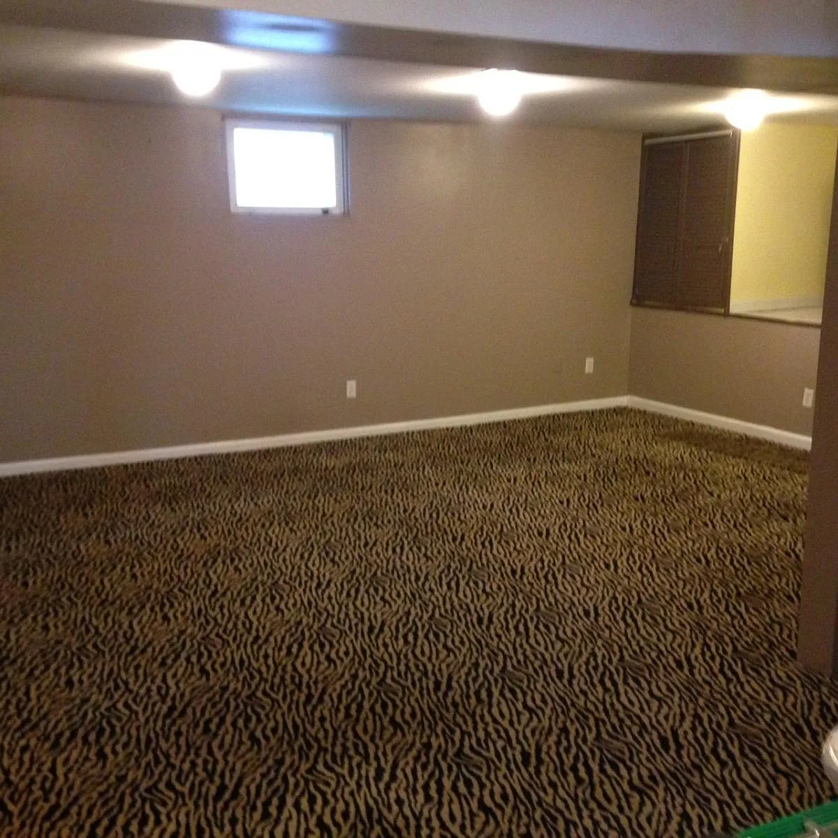 main room - 206 Meridian Ave #LOWER LEVEL