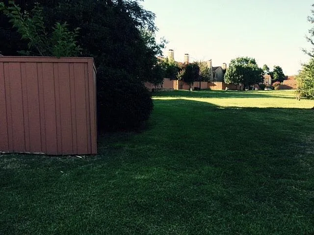 Greenery adjoining the unit (play area)