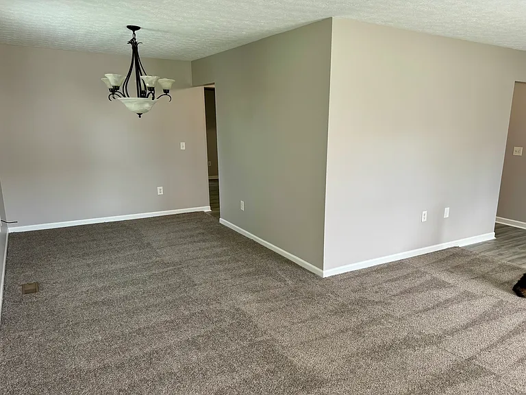 905 Ferncliff Ct — Photo 9