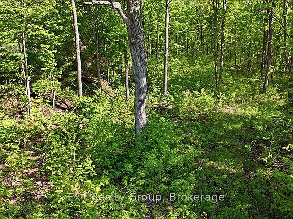 5th image of 75 Spry Rd