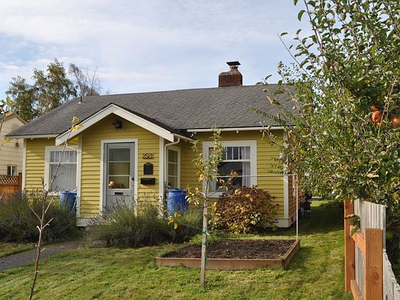 Apple trees and raised beds