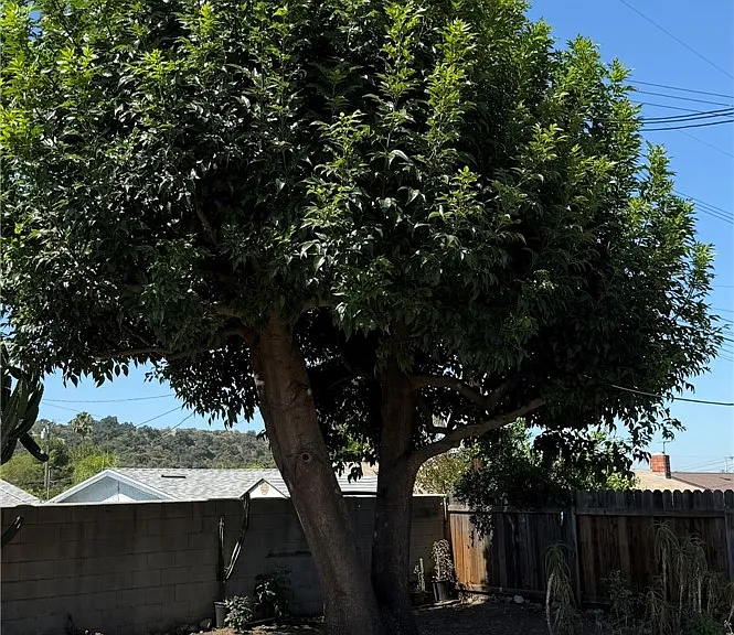 1002 E Walnut Ave — Photo 29