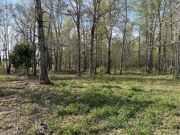 4th image of 0 Bob Meadows Rd Lot 1