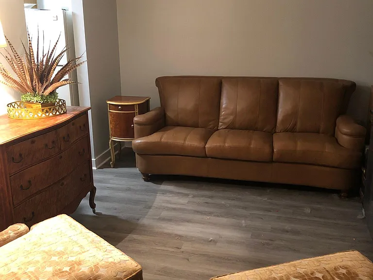 9732 Springfield Woods Cir — Photo 58