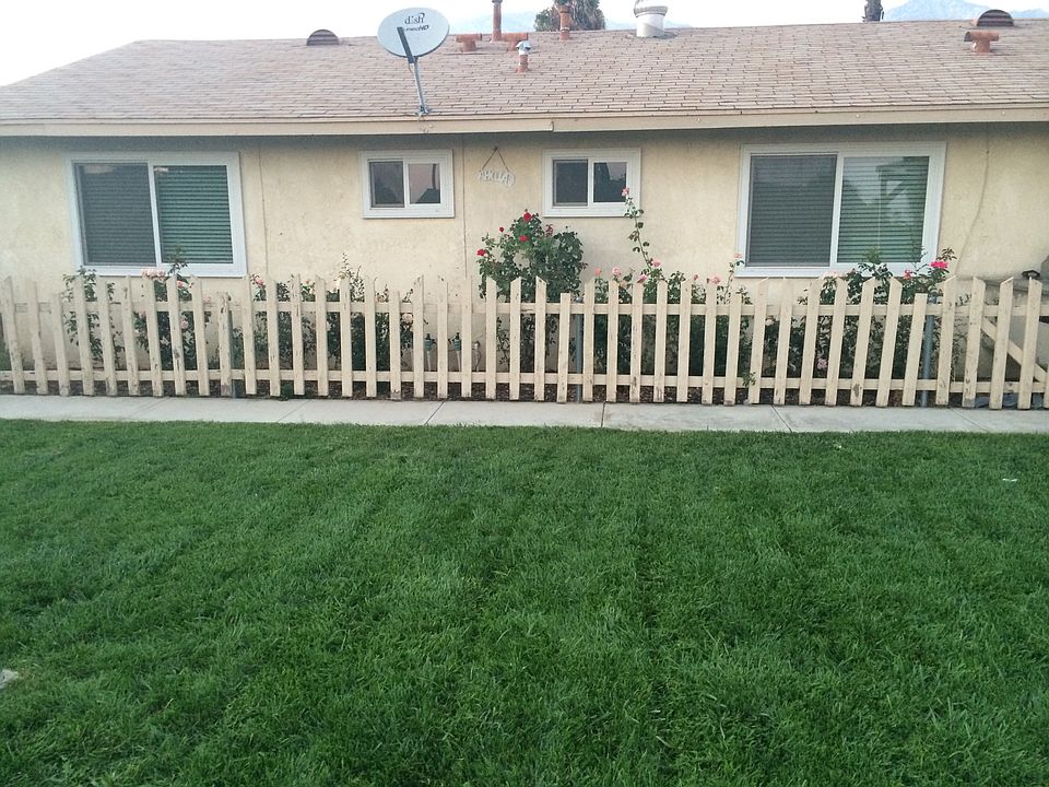 Luscious green grass 