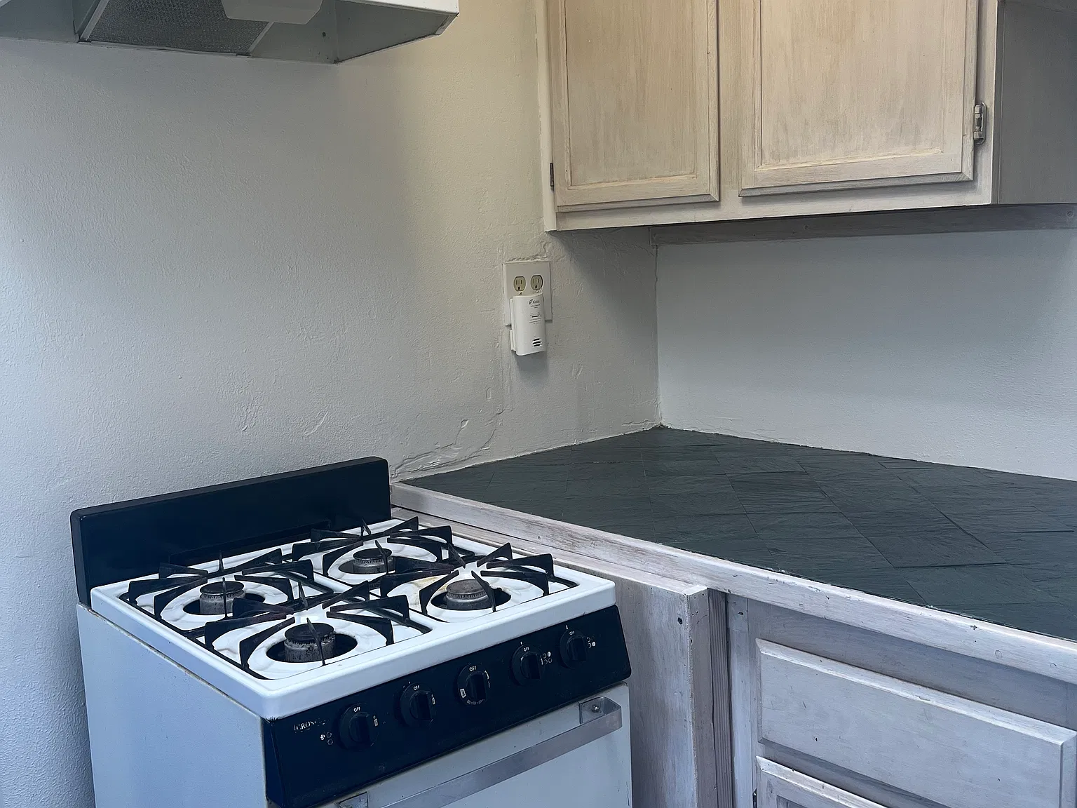 1 bed, 450 sqft, $850 — Photo 4