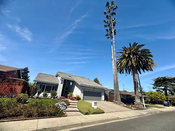 Tall palm trees. Quiet street