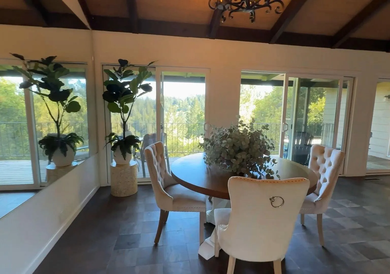 Escape to the forest without leaving Sonoma County — Photo 3