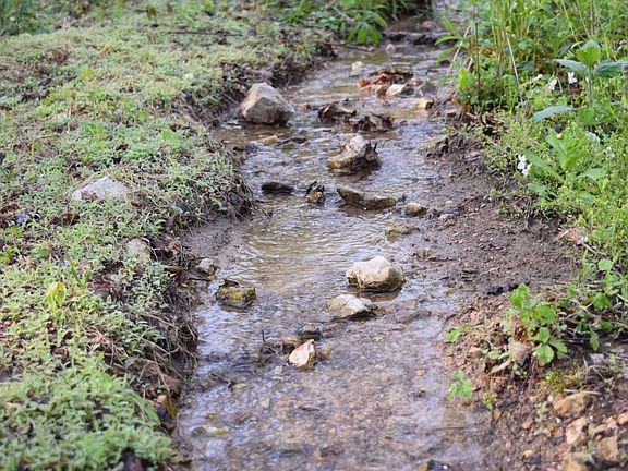 Several creeks and springs