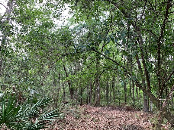 3rd image of 1195 Godavari Way