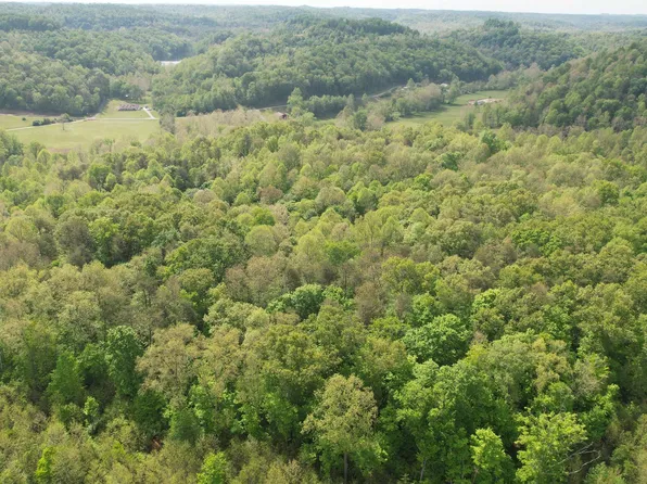 Grizzle Cemetery Rd, Argillite, KY 41121