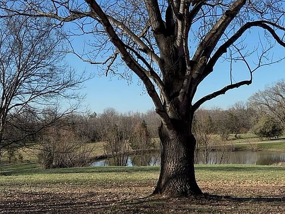 Property’s North View 