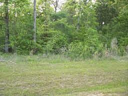 1st image of 32559 Green Bend Ct