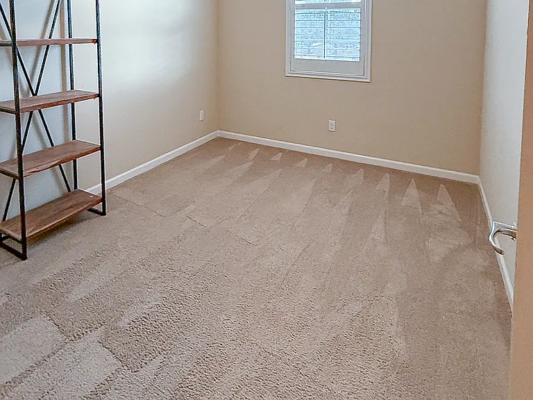 1010 Vanilla Walkway — Photo 13
