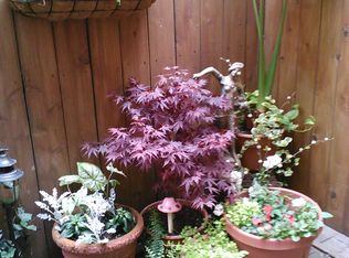 345 W Barry Ave APT 4, Chicago, IL 60657